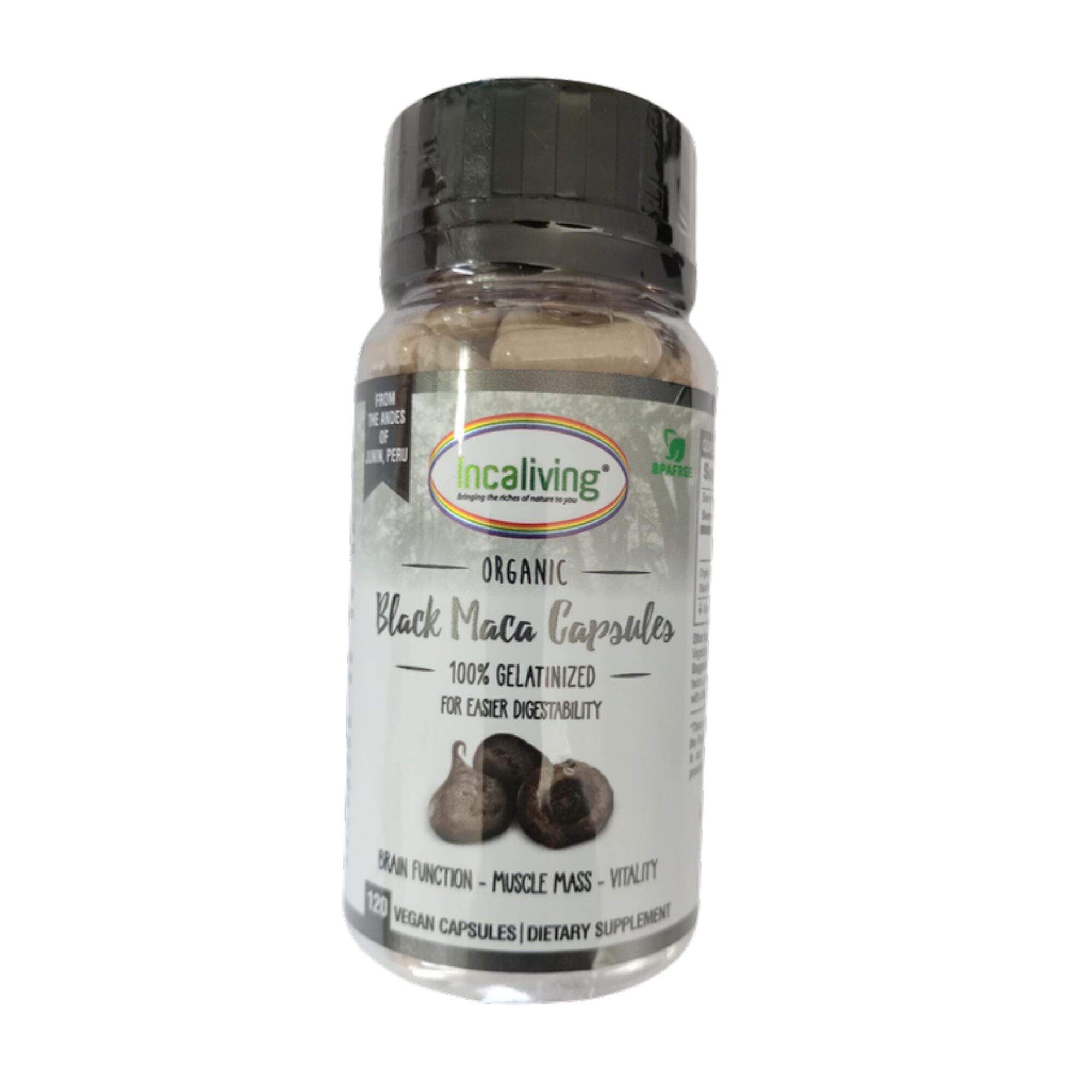 Incaliving Black Maca Capsules 120 ct - front Incaliving Premium Black Maca Capsules 120 veggie caps 500mg - organic Peruvian superfood, front of bottle