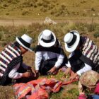 Women harvesting maca roots by hand in the Peruvian Andes